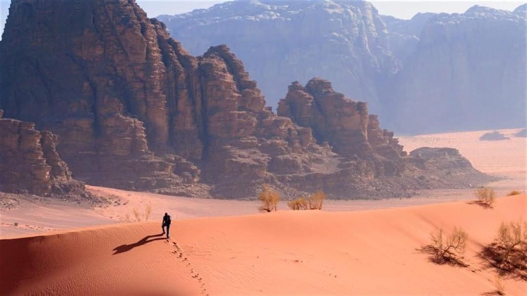 Ammar Rum Camp And Tours Ram Vadisi Dış mekan fotoğraf