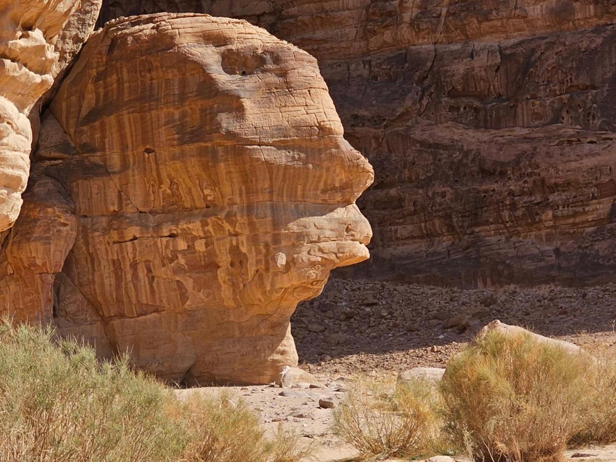 Ammar Rum Camp And Tours Ram Vadisi Dış mekan fotoğraf